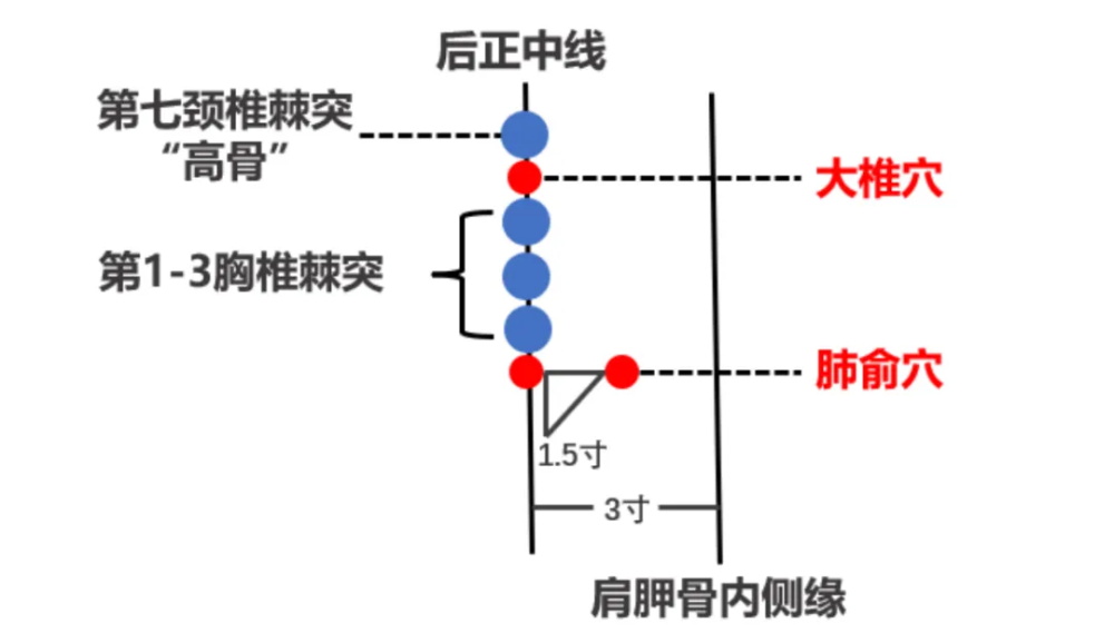 穴位圖3(1).jpg